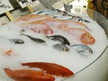 Охлаждение рыбы с использованием средства Анолит Топ Форте (Анолит нейтральный) /> </td></tr></tbody></table> <p class=