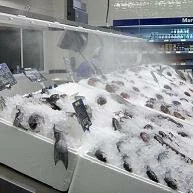 Охлаждение рыбы с использованием средства Анолит нейтральный (АНК) /> </td></tr></tbody></table> <p class=